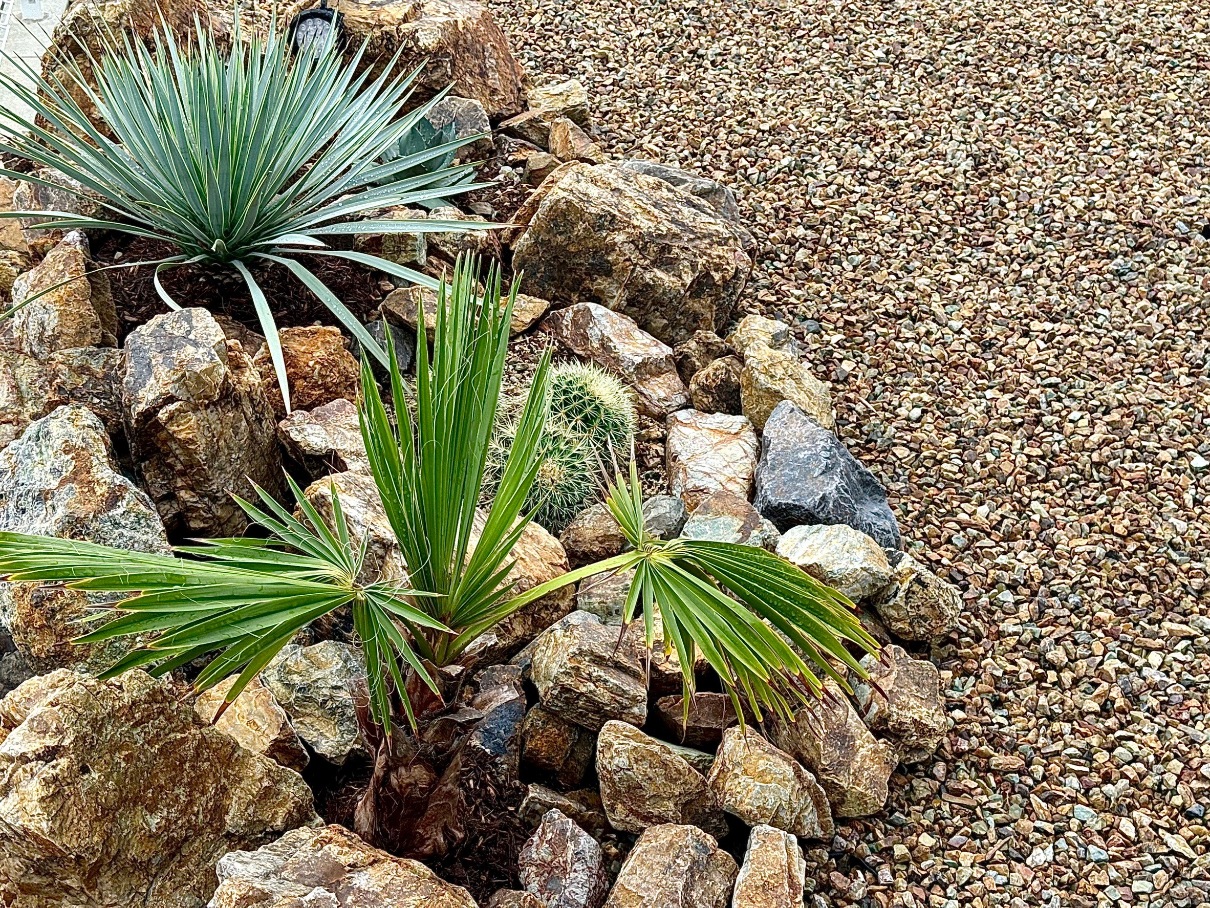 静岡県焼津市中新田M様邸ガーデンリフォーム