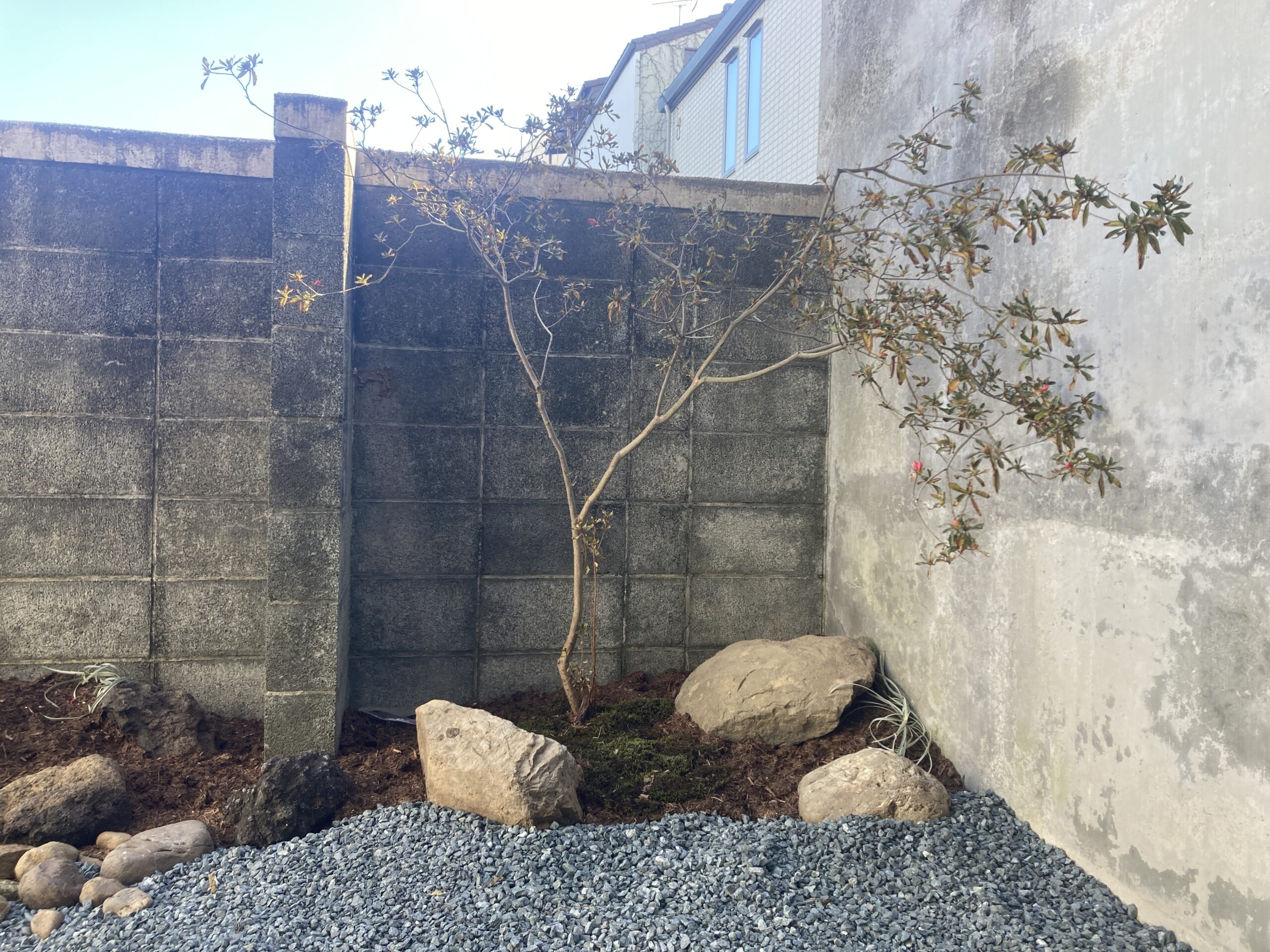 12月　静岡市駿河区大和I様邸　バックガーデンリフォーム完工致しました✨