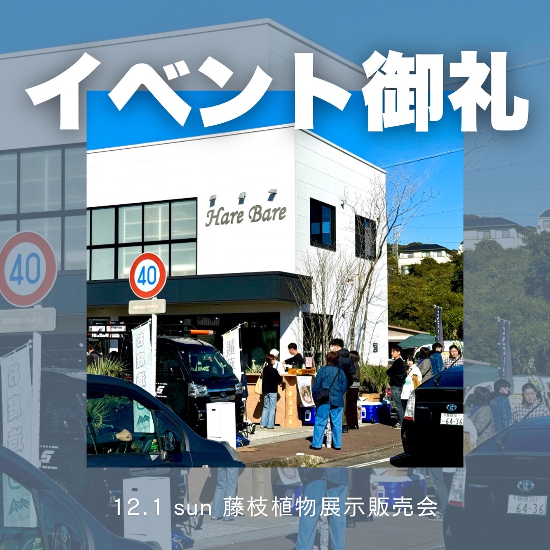 Hare Bare Plants:イベント御礼