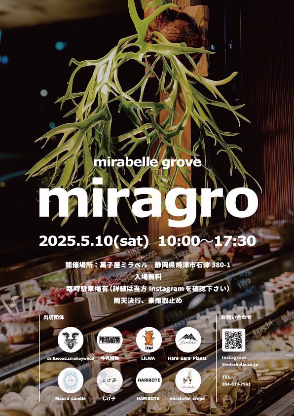 Hare Bare Plants:【ミラベル様イベント出店御礼】