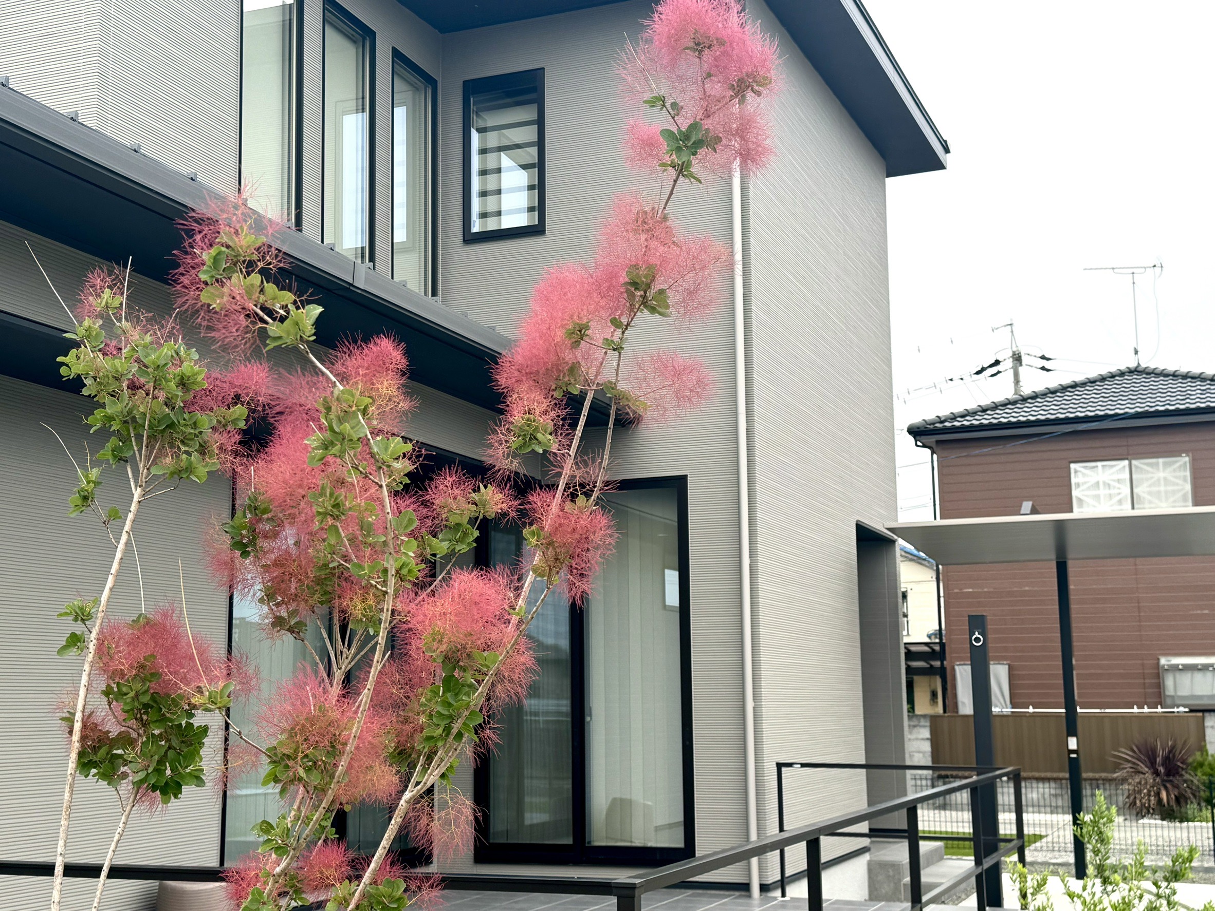 焼津市塩津Y様邸、完工致しました！