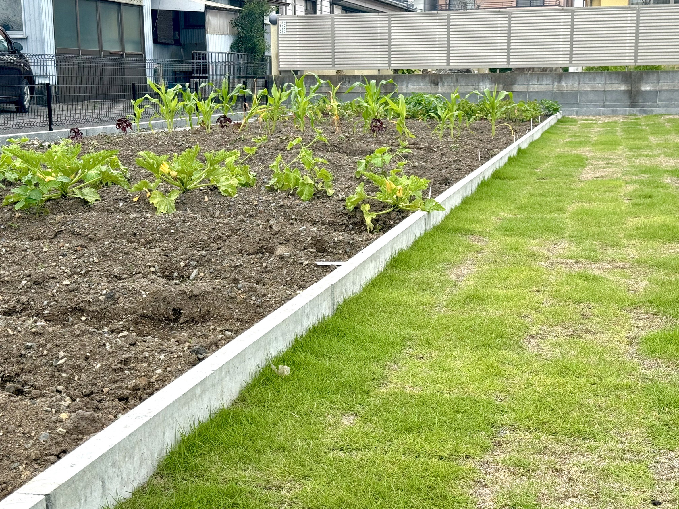 焼津市塩津Y様邸、完工致しました！