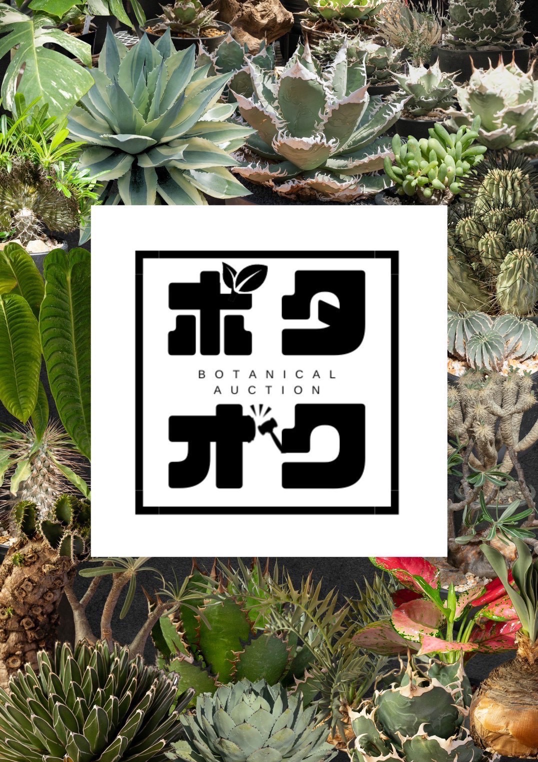 【イベント御礼】ボタオクへ出店！！