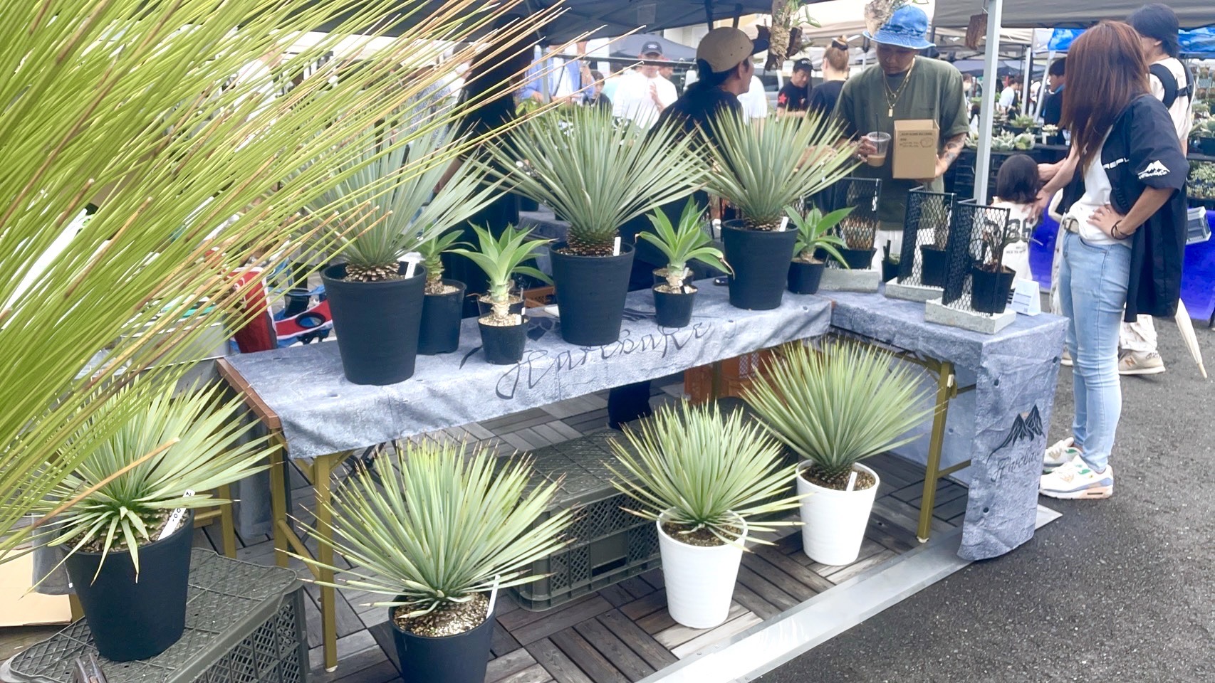 【イベント御礼】ボタオクへ出店！！