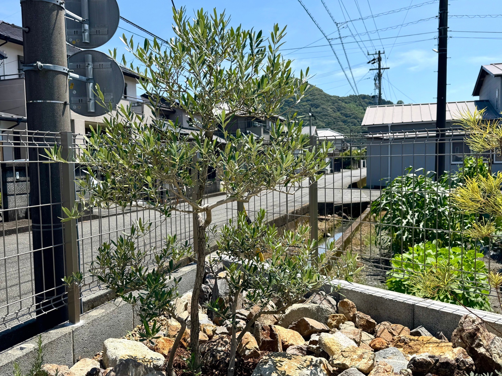 静岡県島田市元島田N様邸