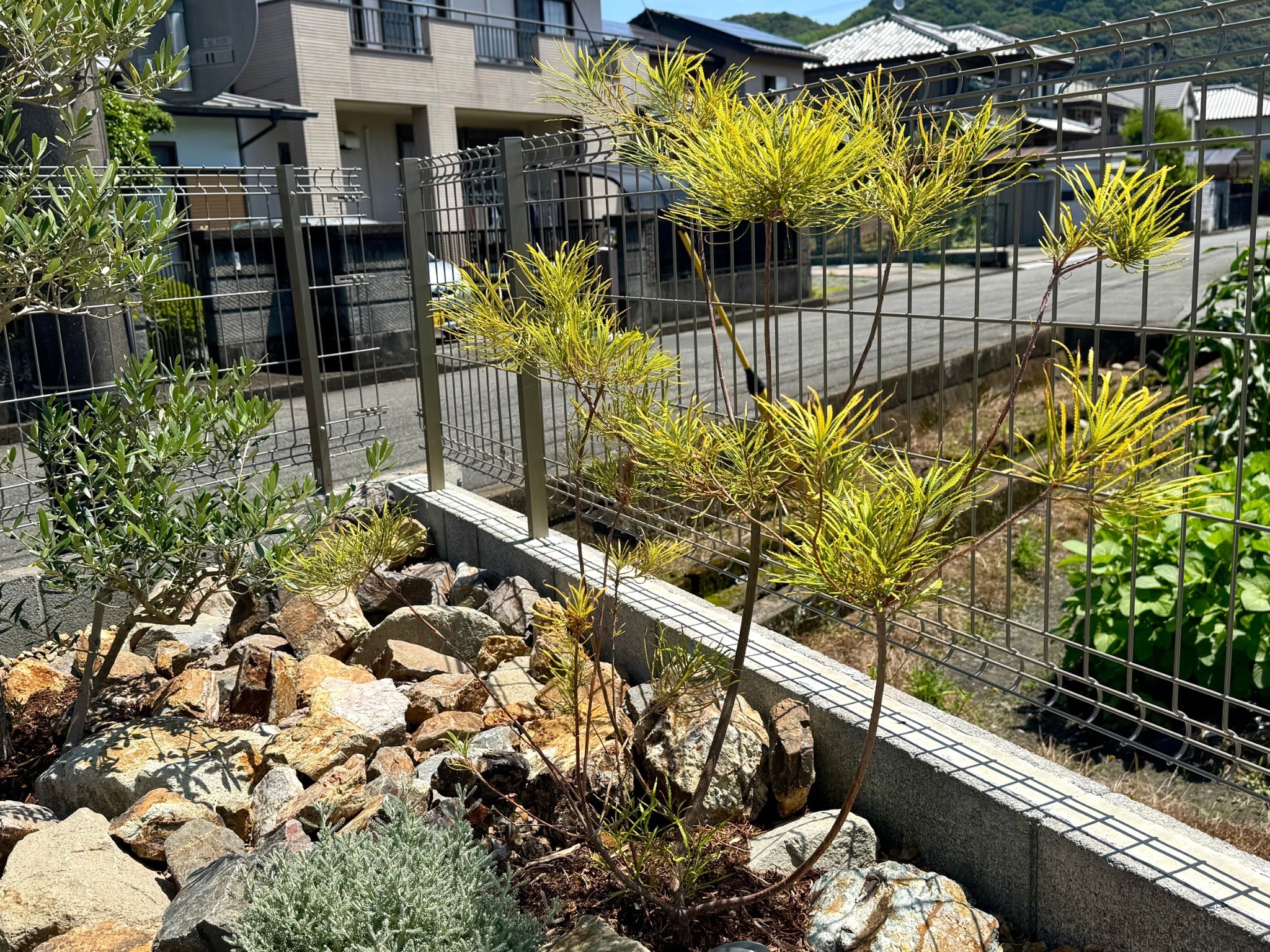 静岡県島田市元島田N様邸