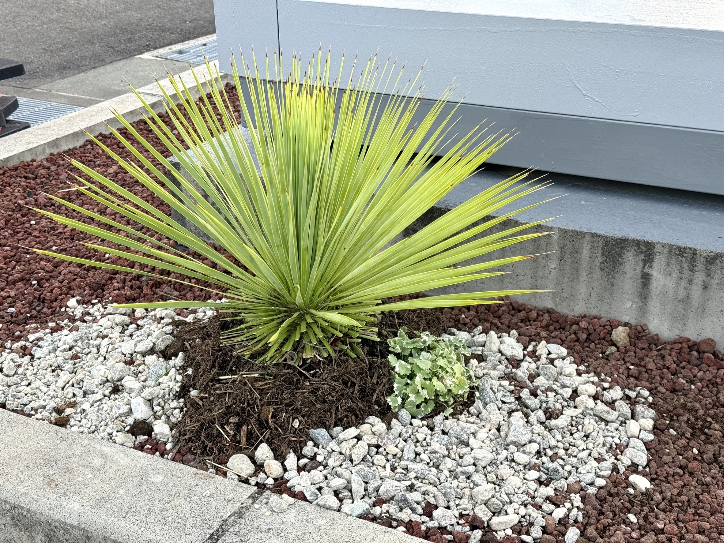 マクドナルド島田中河町店様、ご依頼誠にありがとうございました。