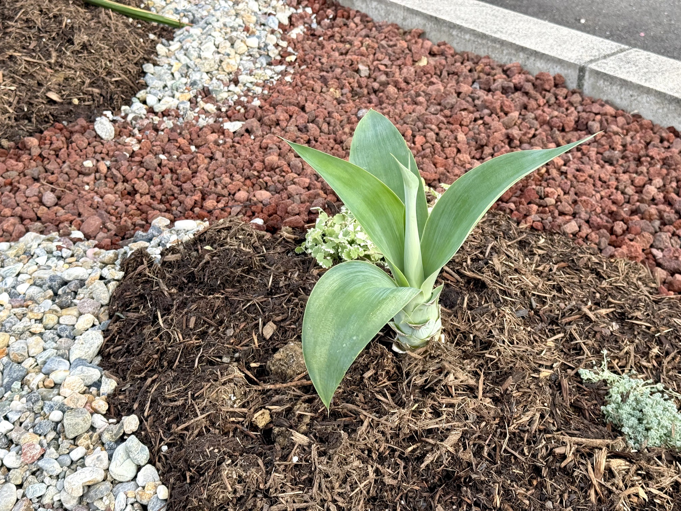 マクドナルド島田中河町店様、ご依頼誠にありがとうございました。