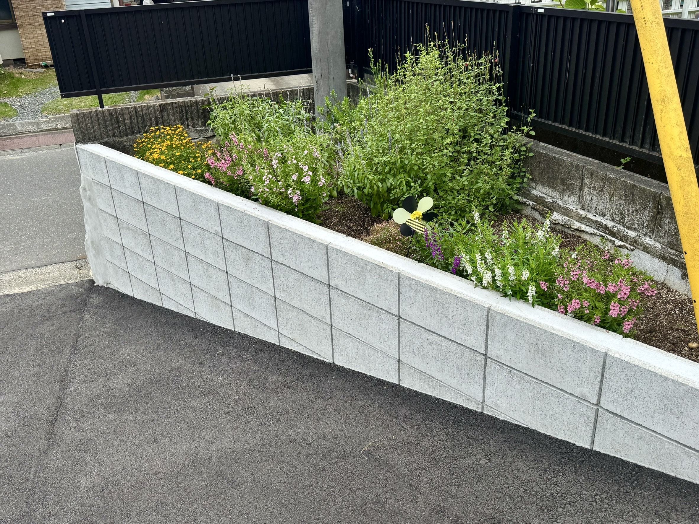 キッチンガーデン