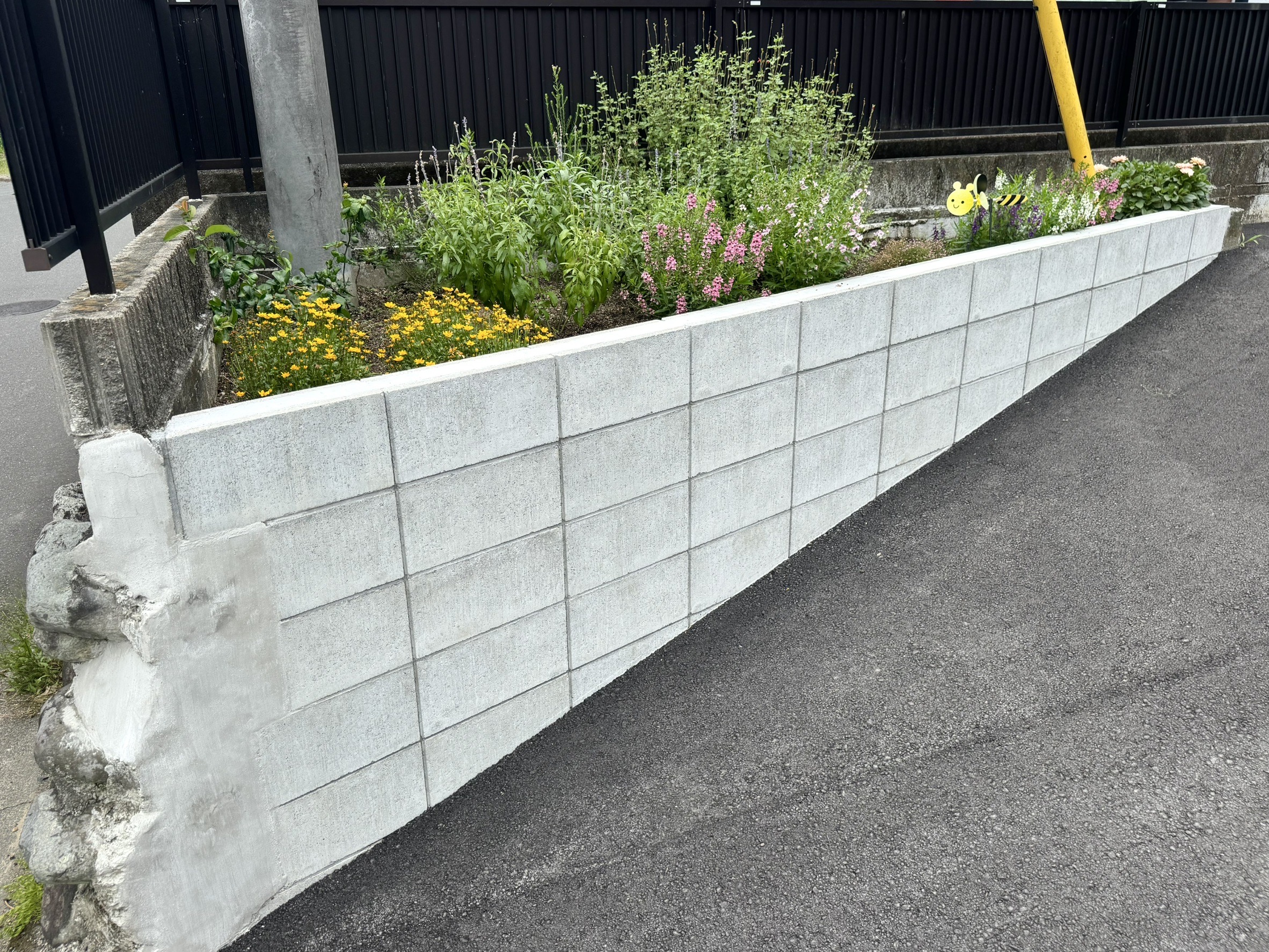 キッチンガーデン