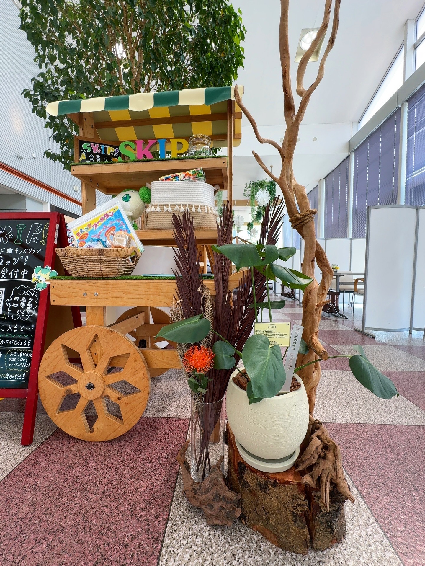 Hare Bare Plants:観葉植物サブスクのご案内