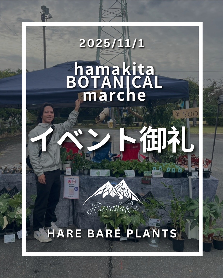 Hare Bare Plant：イベント出店御礼